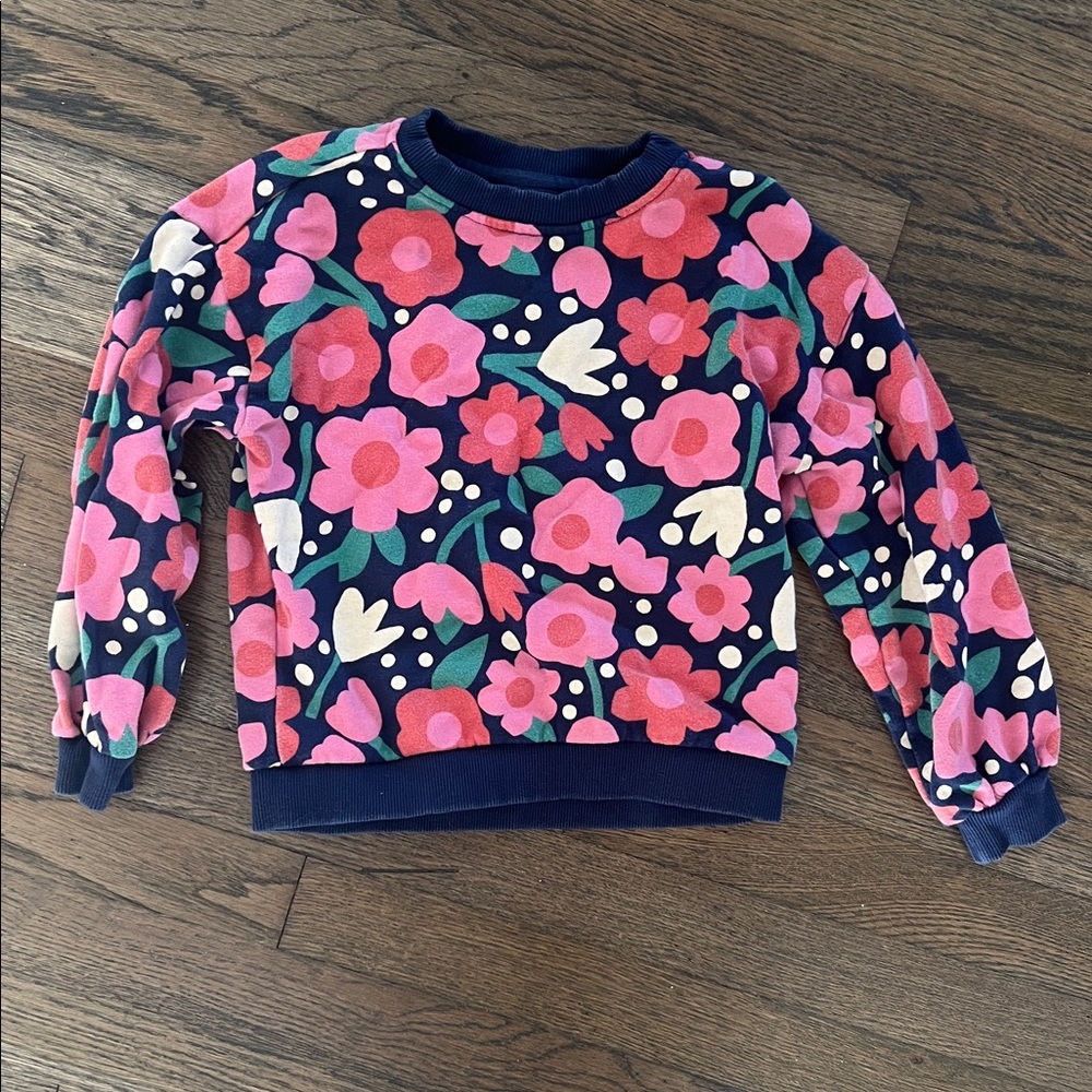 Hanna Andersson Pink and Blue Floral Kids Sweatshirt